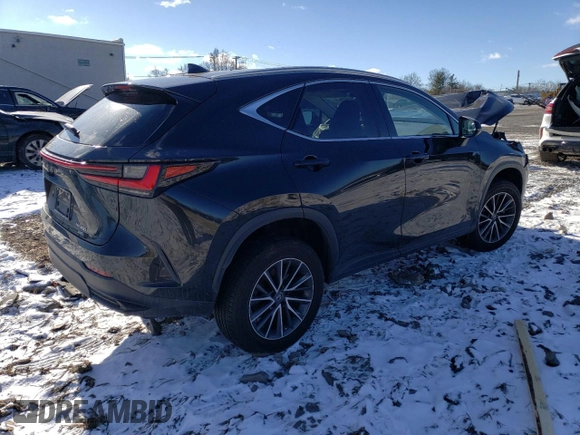 2022 Lexus NX with VIN JTJGGCEZ3N2005494, listed as a Copart auction lot 41362565 with 0 mi miles and Salvage Title. Bid and sale history available at carsss.com. Image 3.