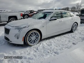 2019 Cadillac CT6 Luxury AWD with VIN 1G6KB5RS6KU117942, listed as a Copart auction lot 81820954 with Not Provided miles and Salvage Title. Bid and sale history available at DreamBid. Image 1.