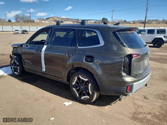2024 Kia Telluride S with VIN 5XYP6DGC8RG482034, listed as a Copart auction lot 45241775 with 21,535 mi miles and Salvage Title. Bid and sale history available at carsss.com. Image 2.