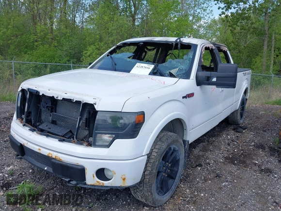 2013 Ford F-150 XL with VIN 1FTFW1ETXDFA48643, listed as a IAAI auction lot 42287016 with Not provided miles and . Bid and sale history available at DreamBid. Image 6.