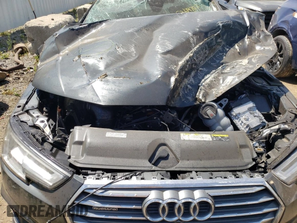2019 Audi A4 Prestige with VIN WAUFNAF4XKA066495, listed as a Copart auction lot 52129702 with 0 mi miles. Bid and sale history available at carsss.com. Image 7.