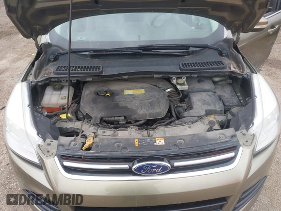 2013 Ford Escape SEL with VIN 1FMCU0HX9DUC77808, listed as a IAAI auction lot 41967998 with 71,196 mi miles. Bid and sale history available at carsss.com. Image 10.