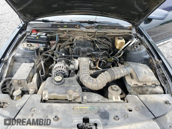 2008 Ford Mustang Deluxe with VIN 1ZVHT80N085188020, listed as a Copart auction lot 53975705 with 258,015 mi miles and Clean Title. Bid and sale history available at carsss.com. Image 11.