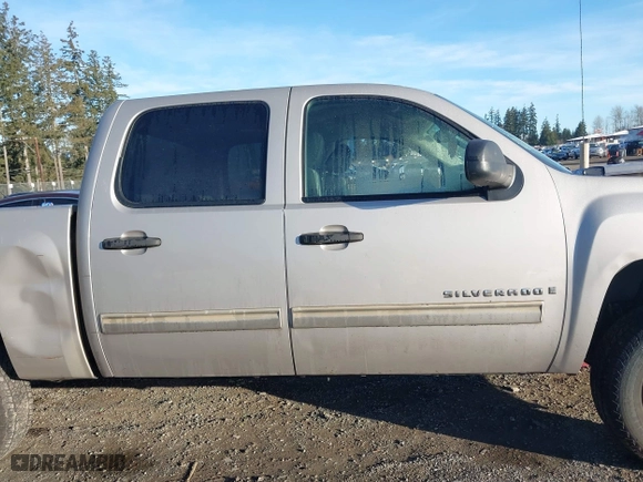 2009 Chevrolet Silverado 1500 LS with VIN 3GCEC13C59G116778, listed as a IAAI auction lot 41686495 with 166,400 mi miles. Bid and sale history available at carsss.com. Image 13.