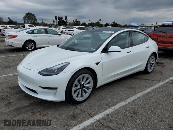 2023 Tesla Model 3 with VIN 5YJ3E1EA8PF683731, listed as a Copart auction lot 48896555 with 19,177 mi miles and Salvage title. Bid and sale history available at DreamBid. Image 1.