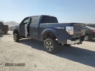 2013 Ford F-150 XL with VIN 1FTFW1EF3DKD45917, listed as a Copart auction lot 48432585 with 156,304 mi miles and Salvage Title. Bid and sale history available at carsss.com. Image 2.