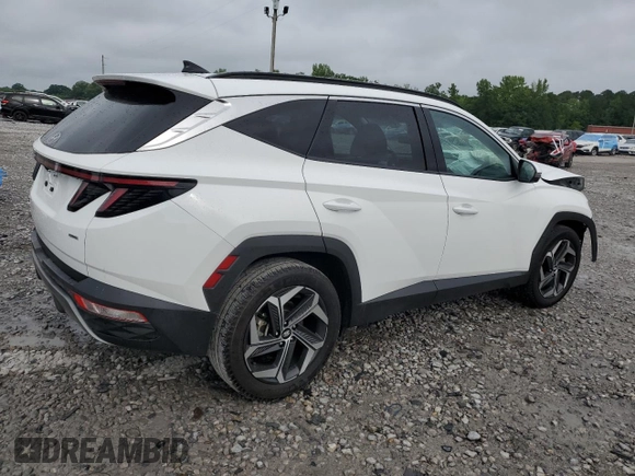 2023 Hyundai Tucson Limited with VIN 5NMJECAEXPH201688, listed as a Copart auction lot 56013095 with 36,018 mi miles and Salvage title. Bid and sale history available at DreamBid. Image 3.
