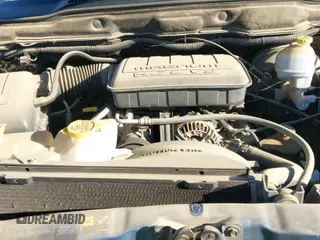 2004 Dodge 1500 SLT z VIN 1D7HA18NX4J282269, wystawiony jako IAAI lot #43527546 z przebiegiem 120 392 mil mil oraz . Historia ofert i sprzedaży dostępna na DreamBid. Obrazek 12.