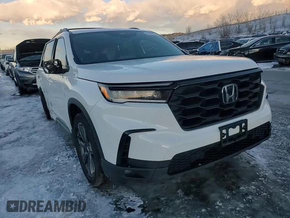 2023 Honda Pilot Sport with VIN 5FNYG1H30PB001986, listed as a Copart auction lot 41820225 with 0 mi miles and Salvage Title. Bid and sale history available at carsss.com. Image 13.