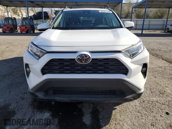 2019 Toyota RAV4 XLE with VIN 2T3W1RFV8KC028630, listed as a Copart auction lot 49307165 with 32,043 mi miles and Salvage Title. Bid and sale history available at DreamBid. Image 5.