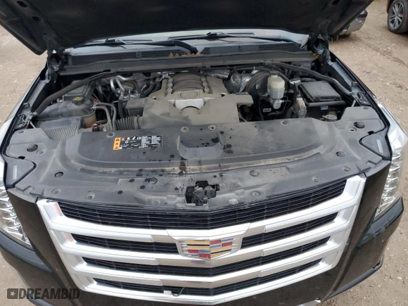 2017 Cadillac Escalade Premium Luxury with VIN 1GYS3CKJ4HR337750, listed as a Copart auction lot 87628035 with 107,142 mi miles and Clean Title. Bid and sale history available at carsss.com. Image 12.