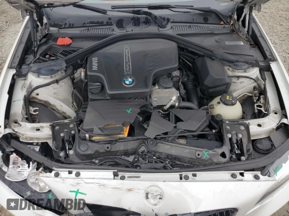 2015 BMW 2 Series 228i with VIN WBA1F5C55FV257705, listed as a Copart auction lot 43765845 with 79,905 mi miles and Salvage Title. Bid and sale history available at carsss.com. Image 11.