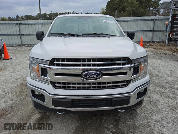 2019 Ford F-150 XL with VIN 1FTEW1E57KFB00501, listed as a Copart auction lot 49469185 with 251,210 mi miles and Clean Title. Bid and sale history available at carsss.com. Image 5.