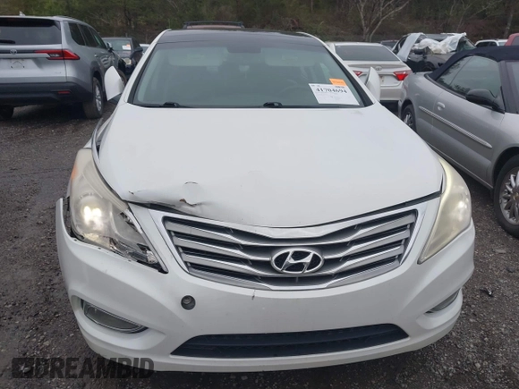 2013 Hyundai Azera with VIN KMHFH4JG0DA216691, listed as a IAAI auction lot 41704694 with 200,228 mi miles and . Bid and sale history available at DreamBid. Image 6.