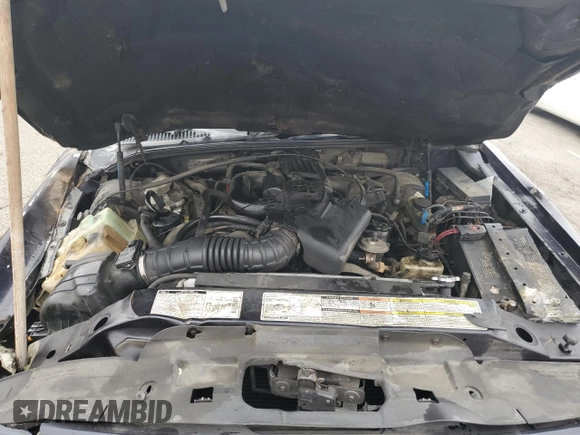 1999 Ford Explorer XLT with VIN 1FMZU34E6XZC14009, listed as a Copart auction lot 55251525 with 253,681 mi miles and Salvage title. Bid and sale history available at DreamBid. Image 12.