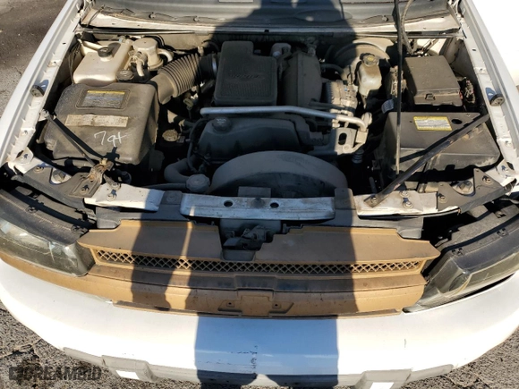 2005 Chevrolet TrailBlazer LS with VIN 1GNES16S456100273, listed as a Copart auction lot 84040514 with 364,831 mi miles and Salvage Title. Bid and sale history available at carsss.com. Image 12.