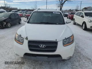 2009 Hyundai Santa Fe GL with VIN 5NMSG13E99H318861, listed as a Copart auction lot 46081195 with 294,793 mi miles and Clean title. Bid and sale history available at DreamBid. Image 5.
