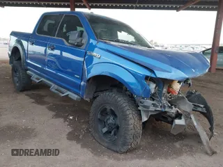 2017 Ford F-150 XL with VIN 1FTEW1EG1HKD33176, listed as a IAAI auction lot 41684857 with 106,983 mi miles. Bid and sale history available at carsss.com. Image 1.