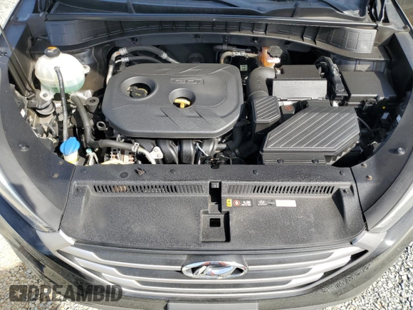 2017 Hyundai Tucson SE with VIN KM8J33A47HU401866, listed as a Copart auction lot 49777715 with 103,316 mi miles and Salvage Title. Bid and sale history available at DreamBid. Image 14.