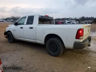 2010 Dodge Ram 1500 ST with VIN 1D7RB1GP3AS172254, listed as a Copart auction lot 44144875 with 269,659 mi miles and Salvage Title. Bid and sale history available at carsss.com. Image 2.