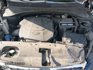 2019 Kia Sorento EX V6 with VIN 5XYPH4A58KG541318, listed as a IAAI auction lot 41021482 with 45,427 mi miles. Bid and sale history available at carsss.com. Image 10.