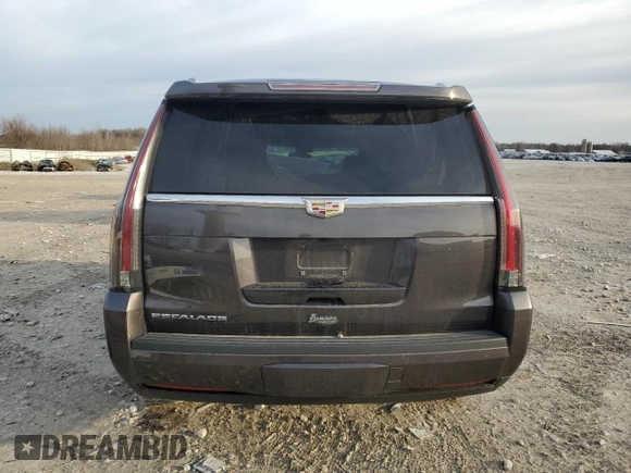 2016 Cadillac Escalade Luxury Collection z VIN 1GYS4BKJ6GR205157, wystawiony jako Copart lot #49581205 z przebiegiem Nie podano mil oraz Nie do naprawy • Non repairable. Historia ofert i sprzedaży dostępna na DreamBid. Obrazek 6.