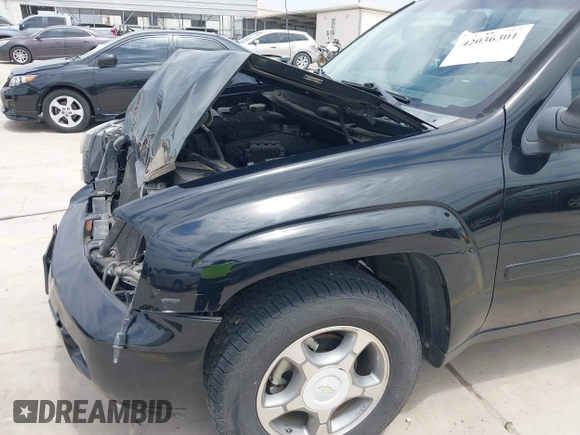 2009 Chevrolet TrailBlazer 1LT with VIN 1GNDS33S692131369, listed as a IAAI auction lot 42036301 with 249,593 mi miles and . Bid and sale history available at DreamBid. Image 18.