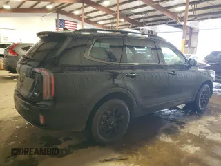2024 Kia Telluride SX Prestige X-Pro with VIN 5XYP5DGC1RG498689, listed as a Copart auction lot 56469975 with 21,452 mi miles and Salvage title. Bid and sale history available at DreamBid. Image 3.
