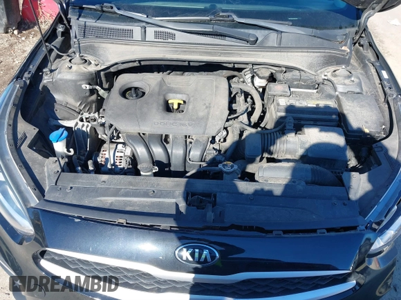 2019 Kia Forte LXS with VIN 3KPF24AD1KE047822, listed as a IAAI auction lot 41554454 with 106,853 mi miles and . Bid and sale history available at DreamBid. Image 10.
