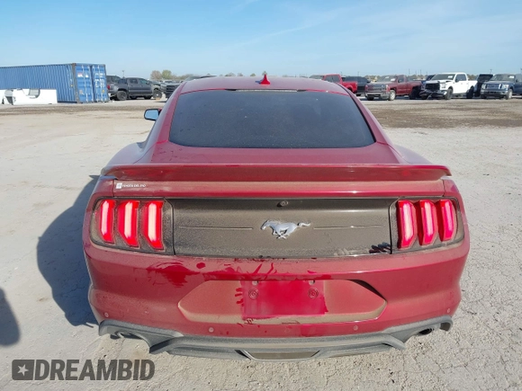 2021 Ford Mustang EcoBoost with VIN 1FA6P8TH8M5101579, listed as a IAAI auction lot 41793217 with 62,897 mi miles and . Bid and sale history available at DreamBid. Image 15.