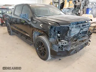 2020 GMC Sierra 1500 Elevation with VIN 3GTU9CEDXLG124359, listed as a IAAI auction lot 41363007 with 86,223 mi miles. Bid and sale history available at carsss.com. Image 1.