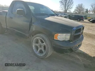 2002 Dodge 1500 with VIN 1D7HA16K42J244560, listed as a Copart auction lot 48218505 with 218,303 mi miles and Salvage Title. Bid and sale history available at DreamBid. Image 11.