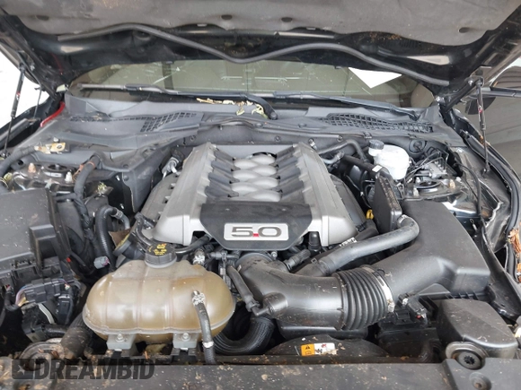2015 Ford Mustang GT with VIN 1FA6P8CF9F5346165, listed as a IAAI auction lot 42575412 with 79,174 mi miles and . Bid and sale history available at DreamBid. Image 10.