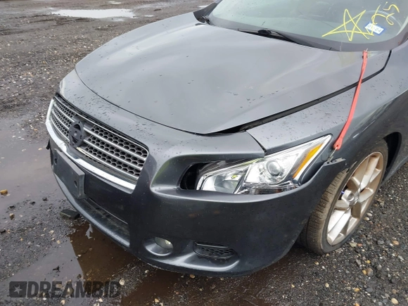 2010 Nissan Maxima 3.5 SV with VIN 1N4AA5AP2AC813162, listed as a IAAI auction lot 41966140 with Not Provided miles. Bid and sale history available at carsss.com. Image 6.