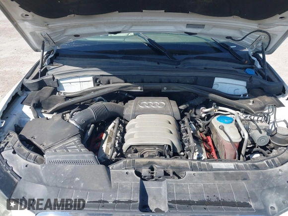 2010 Audi Q5 Prestige with VIN WA1VKAFP4AA090916, listed as a IAAI auction lot 41959624 with 236,036 mi miles and . Bid and sale history available at DreamBid. Image 10.