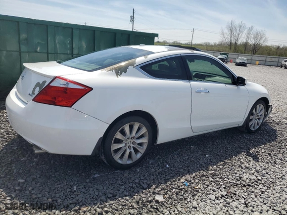 2009 Honda Accord Cpe EX-L with VIN 1HGCS22819A011166, listed as a Copart auction lot 50819395 with 206,537 mi miles and Salvage Title. Bid and sale history available at carsss.com. Image 3.