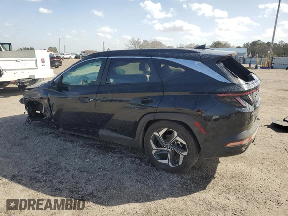 2024 Hyundai Tucson SEL with VIN 5NMJF3DE9RH376560, listed as a Copart auction lot 47667465 with 21,465 mi miles and Non Repairable. Bid and sale history available at carsss.com. Image 2.