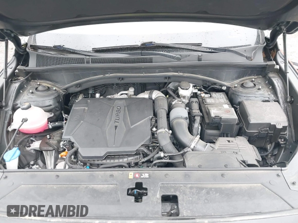 2023 Hyundai Santa Fe Calligraphy with VIN 5NMS5DAL9PH606417, listed as a IAAI auction lot 42349495 with 13,417 mi miles and . Bid and sale history available at DreamBid. Image 10.