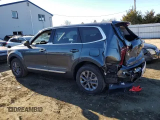 2024 Kia Telluride LX with VIN 5XYP24GC0RG553481, listed as a Copart auction lot 83525194 with 3,934 mi miles and Salvage title. Bid and sale history available at DreamBid. Image 2.