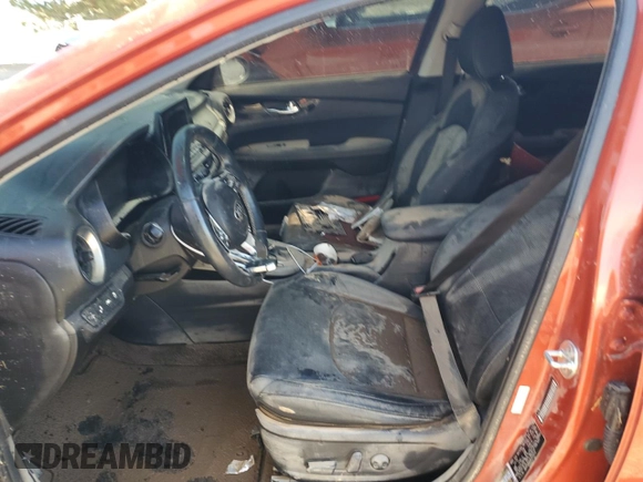 2019 Kia Forte EX with VIN 3KPF54AD3KE070316, listed as a Copart auction lot 77591304 with 0 mi miles and Salvage Title. Bid and sale history available at carsss.com. Image 7.