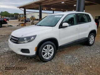2013 Volkswagen Tiguan S with VIN WVGAV3AX2DW620818, listed as a Copart auction lot 53974985 with 135,075 mi miles and Salvage title. Bid and sale history available at DreamBid. Image 1.