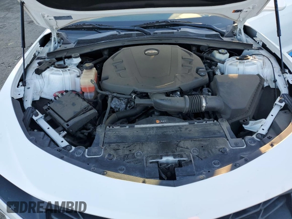 2019 Chevrolet Camaro 1LT with VIN 1G1FB3DSXK0141655, listed as a Copart auction lot 44549565 with 0 mi miles and Salvage Title. Bid and sale history available at carsss.com. Image 11.