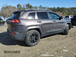 2018 Jeep Cherokee Trailhawk with VIN 1C4PJMBB9JD548008, listed as a Copart auction lot 43076075 with 61,906 mi miles and Salvage title. Bid and sale history available at DreamBid. Image 3.