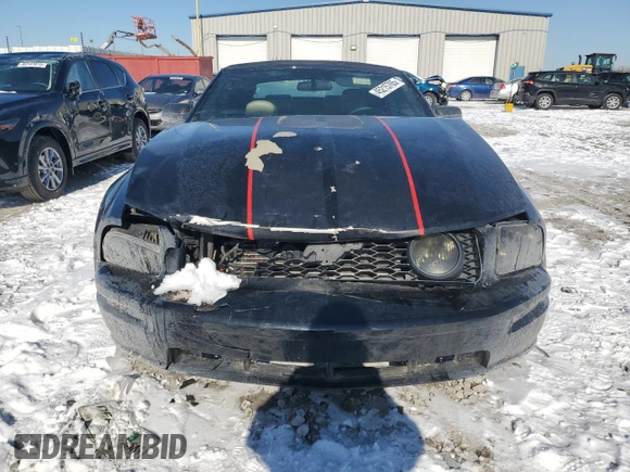 2005 Ford Mustang GT Deluxe with VIN 1ZVHT85H655199389, listed as a Copart auction lot 45215765 with 98,105 mi miles and Salvage Title. Bid and sale history available at DreamBid. Image 5.
