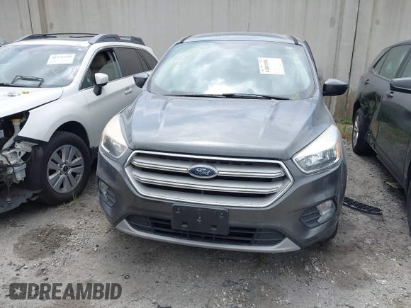 2019 Ford Escape SE with VIN 1FMCU0GD3KUA71923, listed as a IAAI auction lot 41801956 with 25,602 mi miles. Bid and sale history available at carsss.com. Image 12.