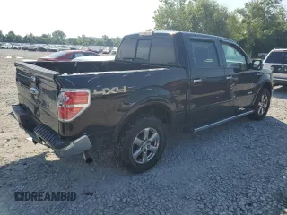 2013 Ford F-150 XL with VIN 1FTFW1ET8DKE61054, listed as a Copart auction lot 64204095 with 124,924 mi miles and Salvage title. Bid and sale history available at DreamBid. Image 3.
