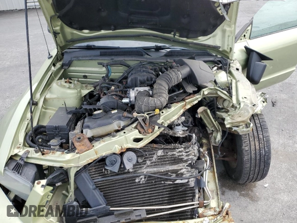 2005 Ford Mustang Deluxe with VIN 1ZVFT80N855113293, listed as a Copart auction lot 59944855 with Not provided miles and Salvage title. Bid and sale history available at DreamBid. Image 11.