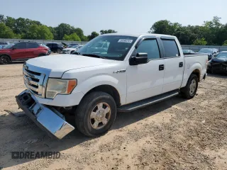 2010 Ford F-150 XL with VIN 1FTEW1C85AFC60713, listed as a Copart auction lot 59390285 with 299,471 mi miles and Salvage title. Bid and sale history available at DreamBid. Image 1.