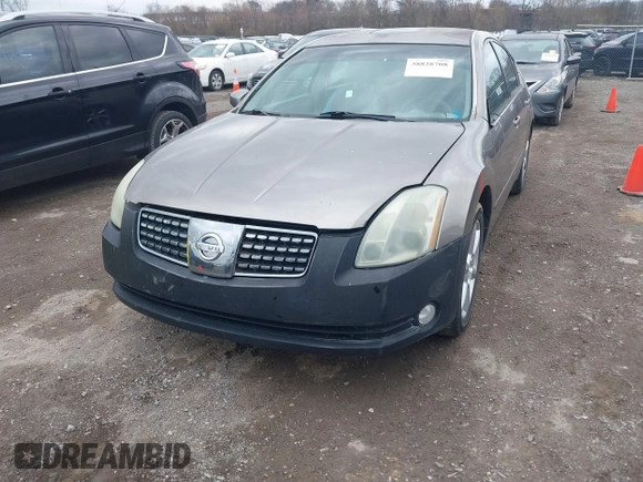 2005 Nissan Maxima SE с VIN 1N4BA41E25C832166, выставлен на аукционе IAAI как лот 38828708 с пробегом 202 955 миль миль и . История ставок и продаж доступна на DreamBid. Изображение 6.