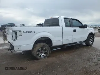 2014 Ford F-150 XL with VIN 1FTEX1EM7EKG10153, listed as a Copart auction lot 55842715 with 175,056 mi miles and Salvage title. Bid and sale history available at DreamBid. Image 3.